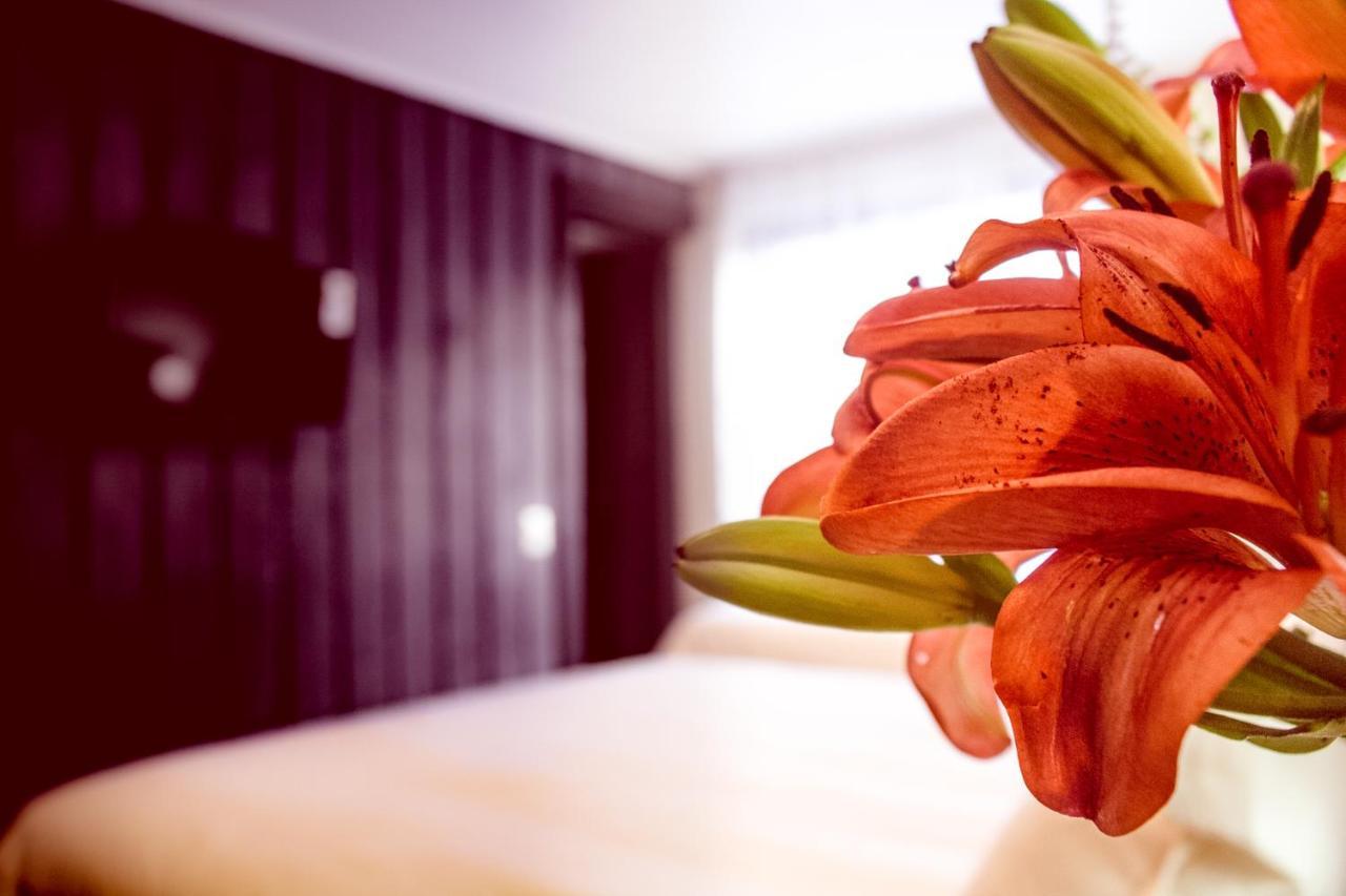 Newen B&B Pucón المظهر الخارجي الصورة