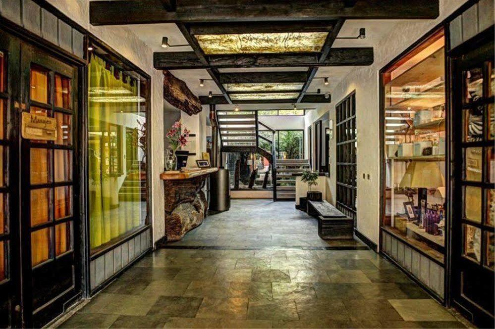 Newen B&B Pucón المظهر الخارجي الصورة